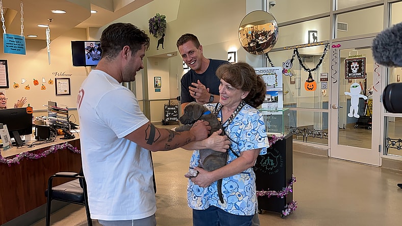 Puppy Abandoned on Stranger's Doorstep After Heartless Ring-and-Run