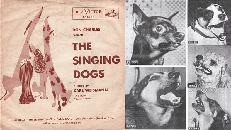 The Story Behind the "Jingle Bells" Dog Bark Song: A Howling Holiday Classic