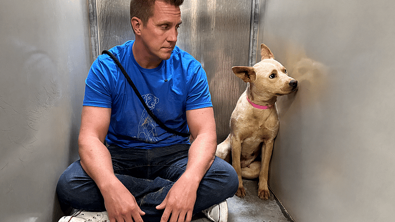 Sitting with dogs 79: Dixie