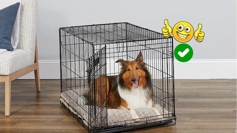 Dog Crate