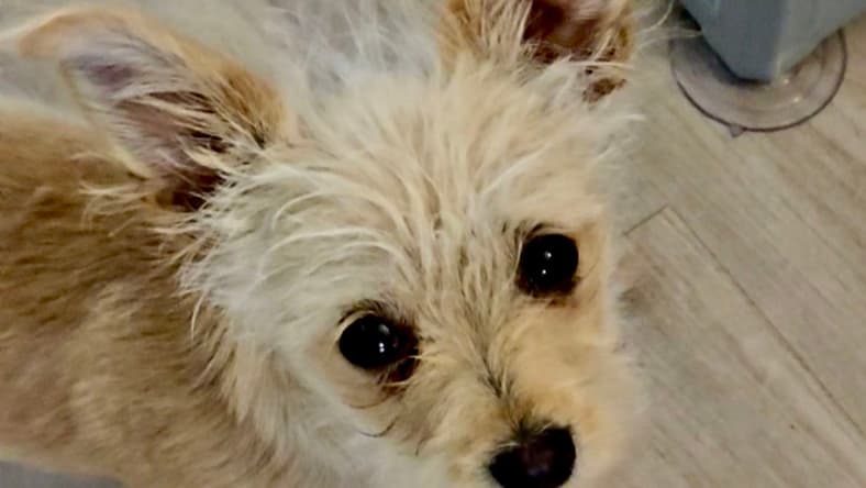 Zoe