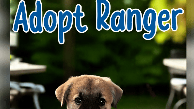 Ranger