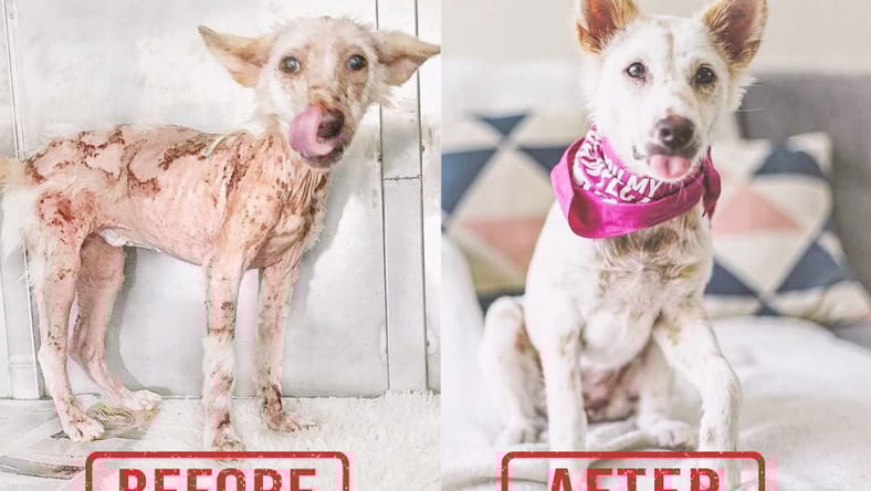 Delilah Before & After