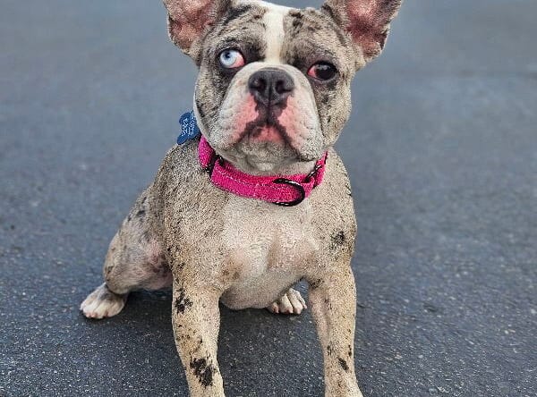 Ellie