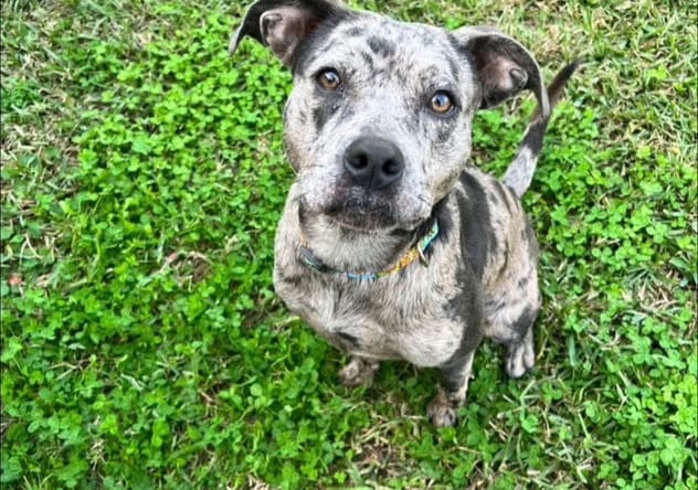 Sally - Special Girl!