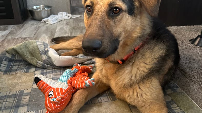 Max