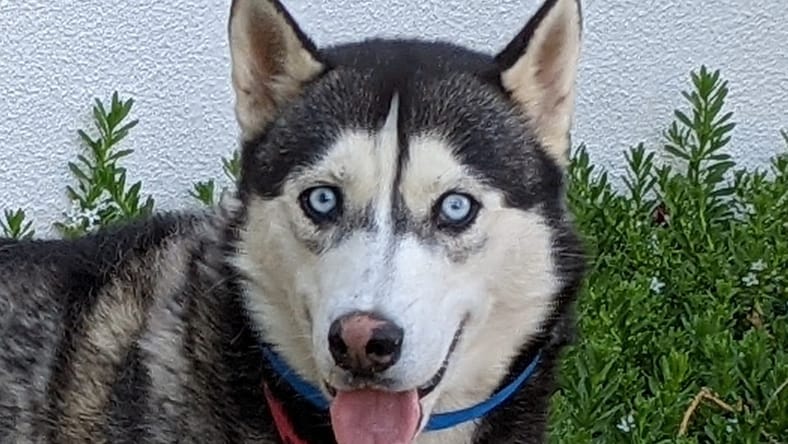 Duke Atreidis