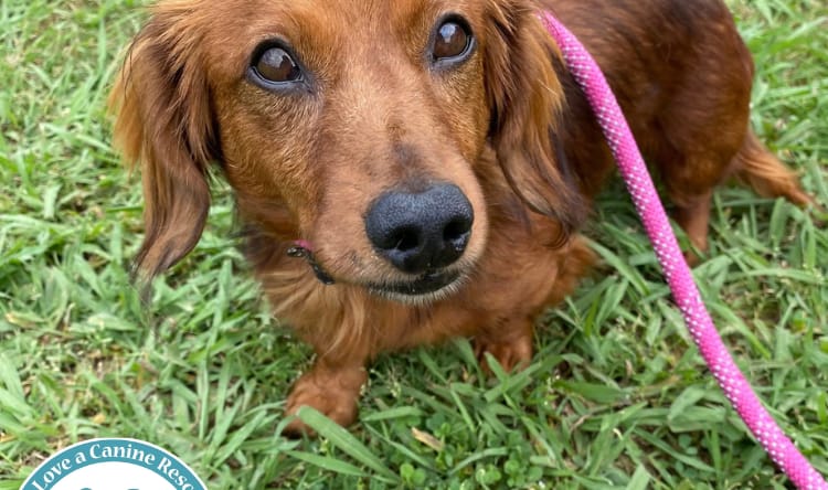Red Fred 051025