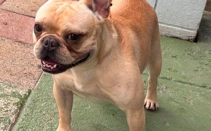 Kashi: Not At shelter