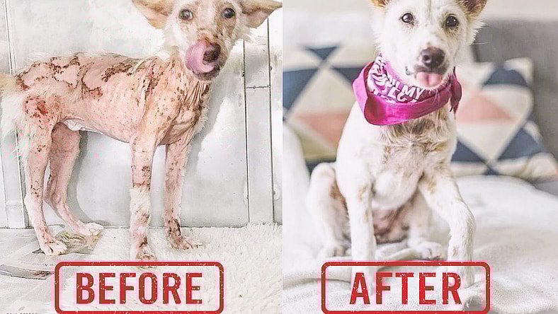 Delilah Before & After