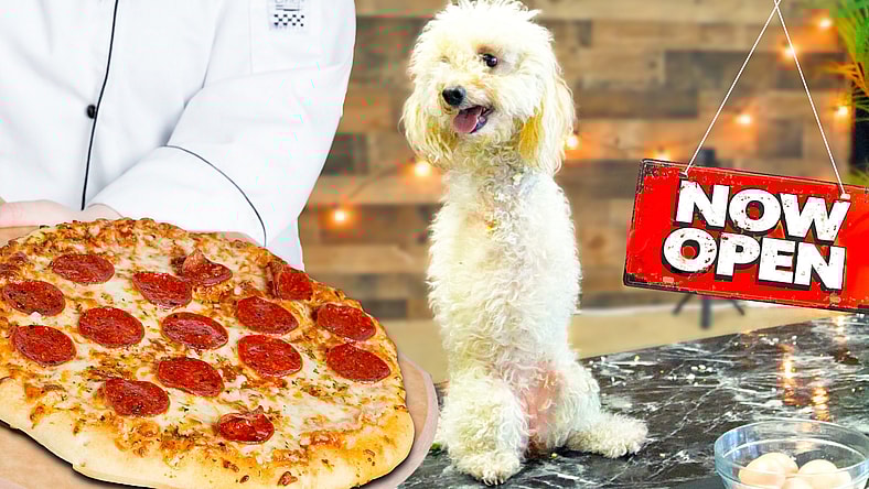 man opens restaurant for dogs