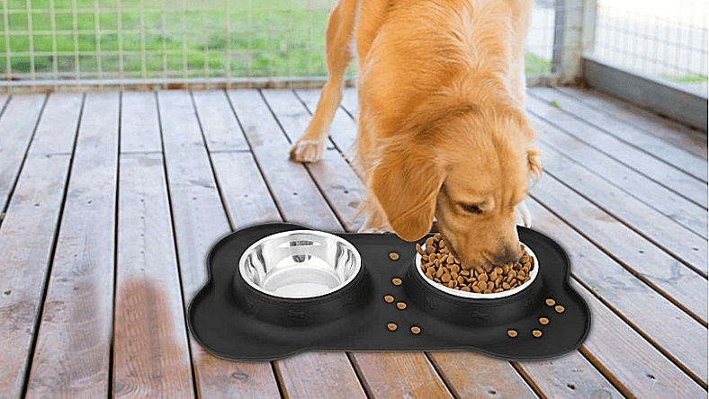 No-Spill water bottle for dogs