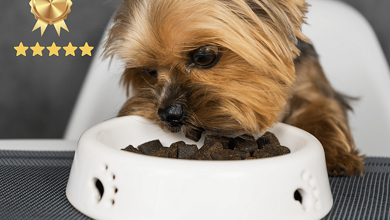 best dog food for yorkies