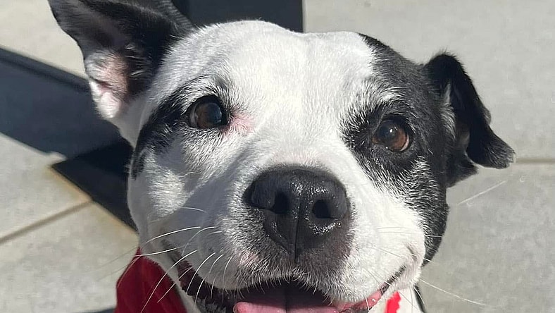 Lelu *TRANSPORTATION AVAILABLE*