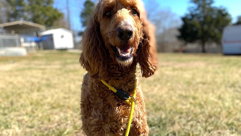 Lady Bug Autumn Jan 25