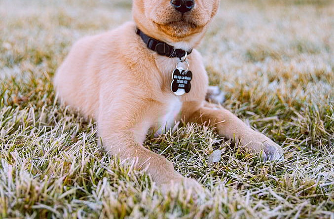 North Plains / Yeager