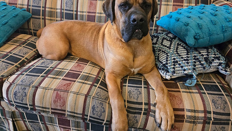 Duke
