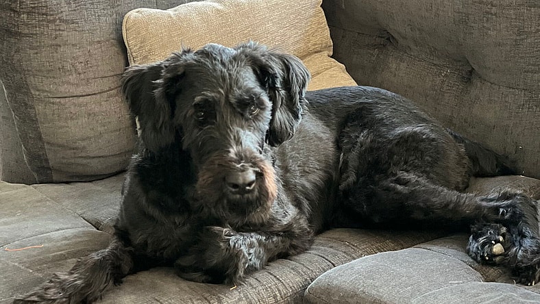 BAKER (COURTESY POST)