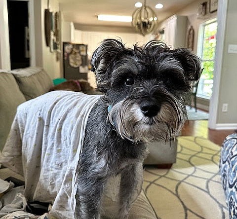 MURPHY (SRC#3020) IN NORTH CAROLINA