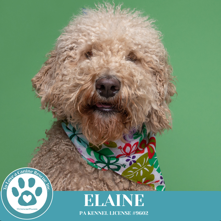 Elaine (No Soup Squad) 030825