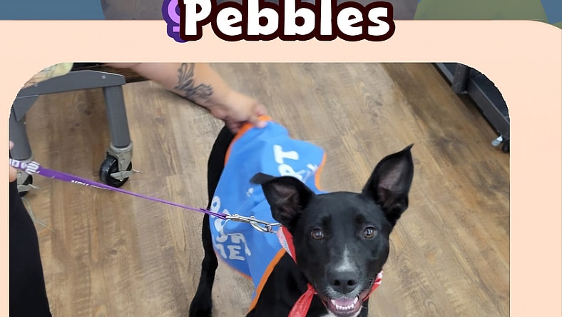 Pebbles