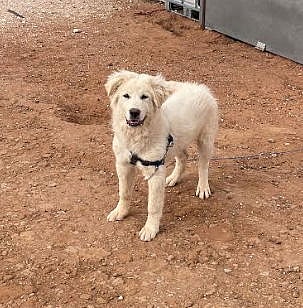 SPONSOR ME - Patrick