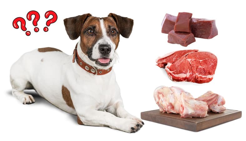 80-10-10 Raw Dog Food Diet