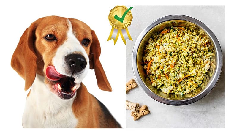 Allergy-Friendly Homemade Dog Food Recipes