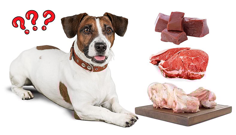 80-10-10 Raw Dog Food Diet