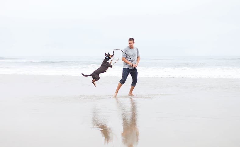 Garbanzo is featured on Dogs Day out hosted by Rocky kanaka who was emmy nominated for Save Our Shelter