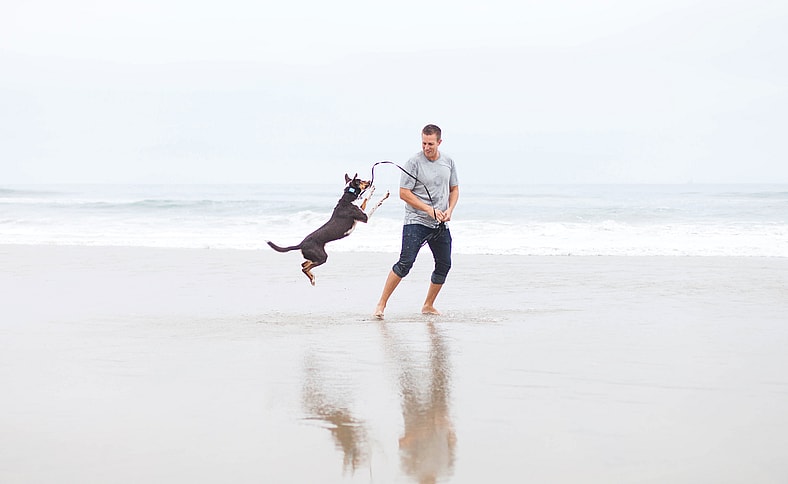 Garbanzo is featured on Dogs Day out hosted by Rocky kanaka who was emmy nominated for Save Our Shelter