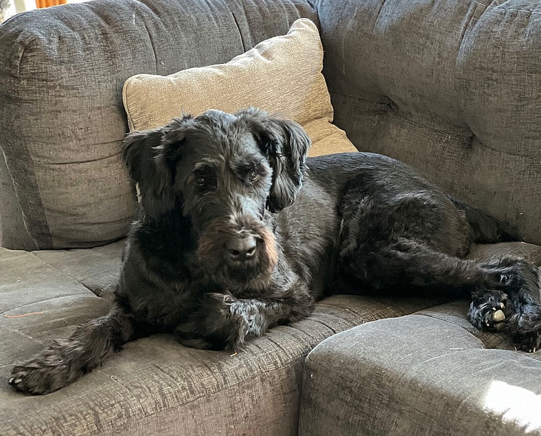 BAKER (COURTESY POST)