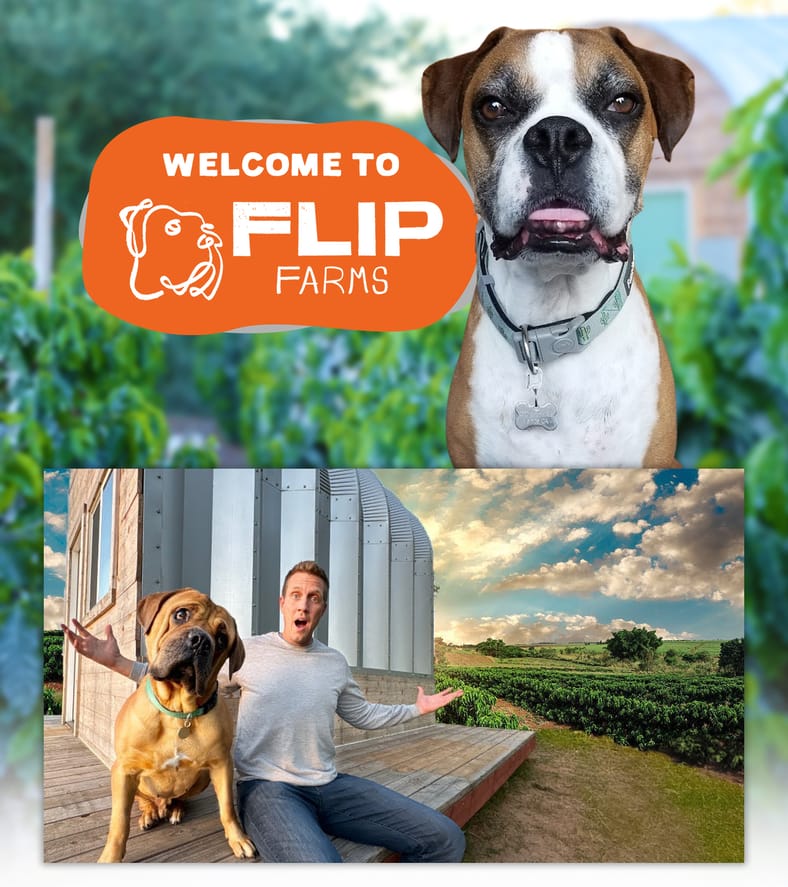 welcome to flip farms by Rocky Kanaka