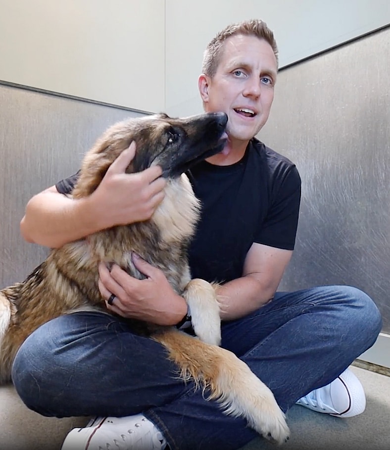 Rare Breed - Fluffy Shelter Dog