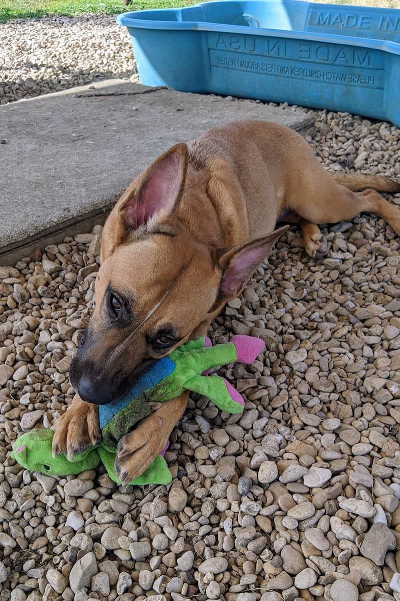 Penny