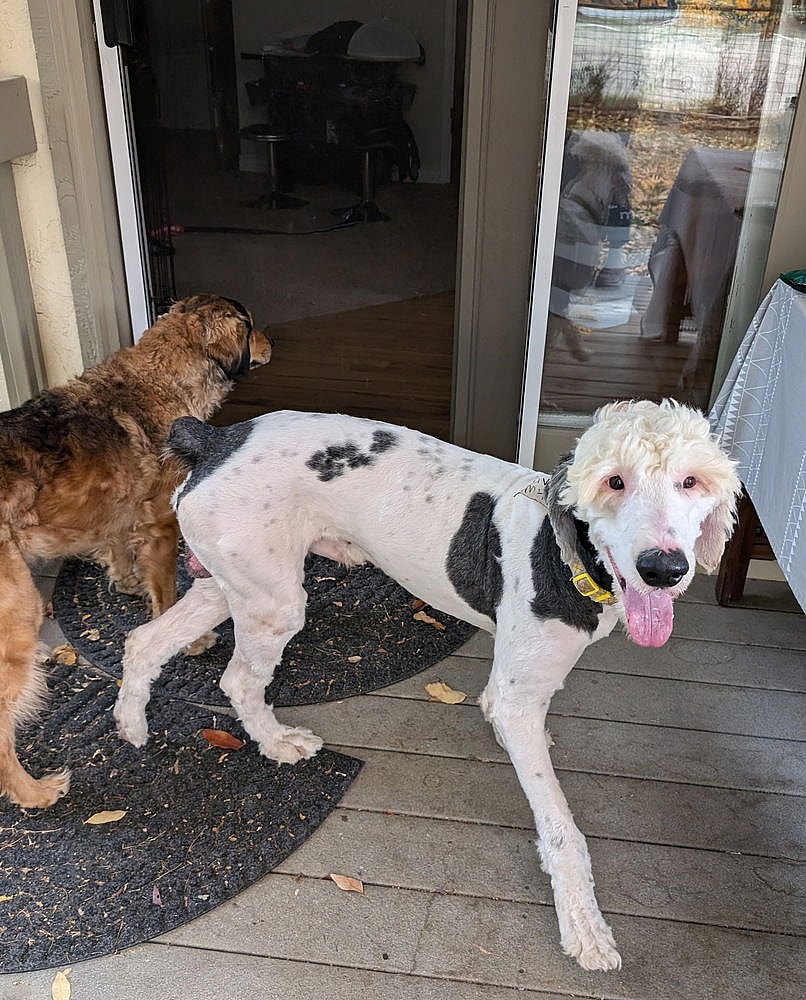 Columbia County / Oliver