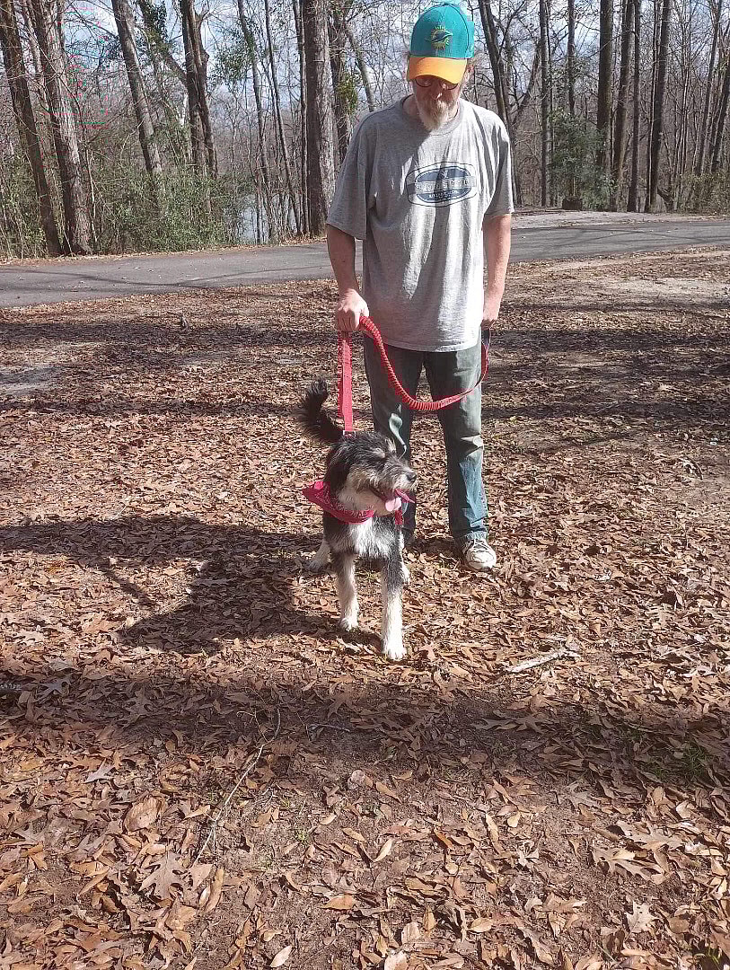 BLUE up for Adoption