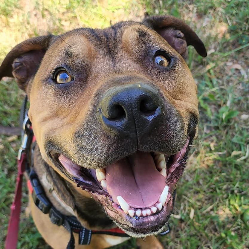 WINSTON