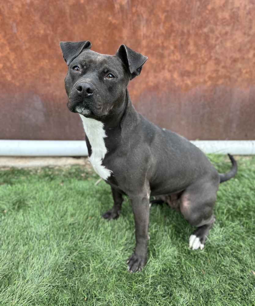 It's Klaira's time to shine!