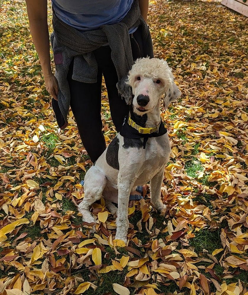 Columbia County / Oliver