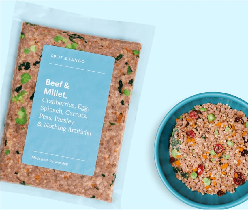 dog food