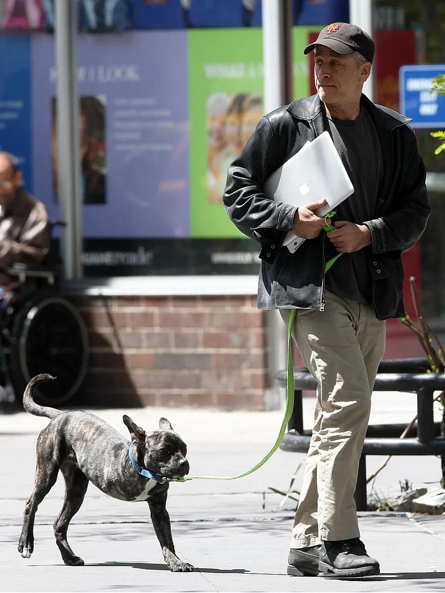 Celebrities own pitbulls - John Stewart