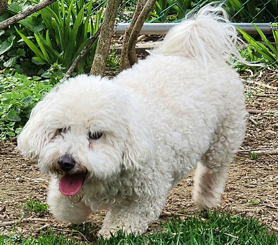 Moses and Wadud - bonded pair