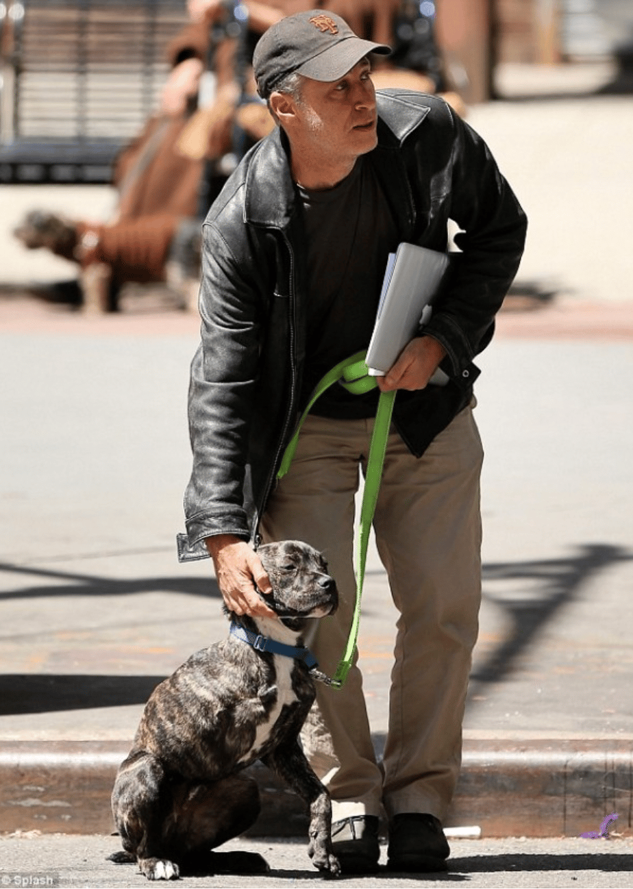 Celebrities own pitbulls - John Stewart