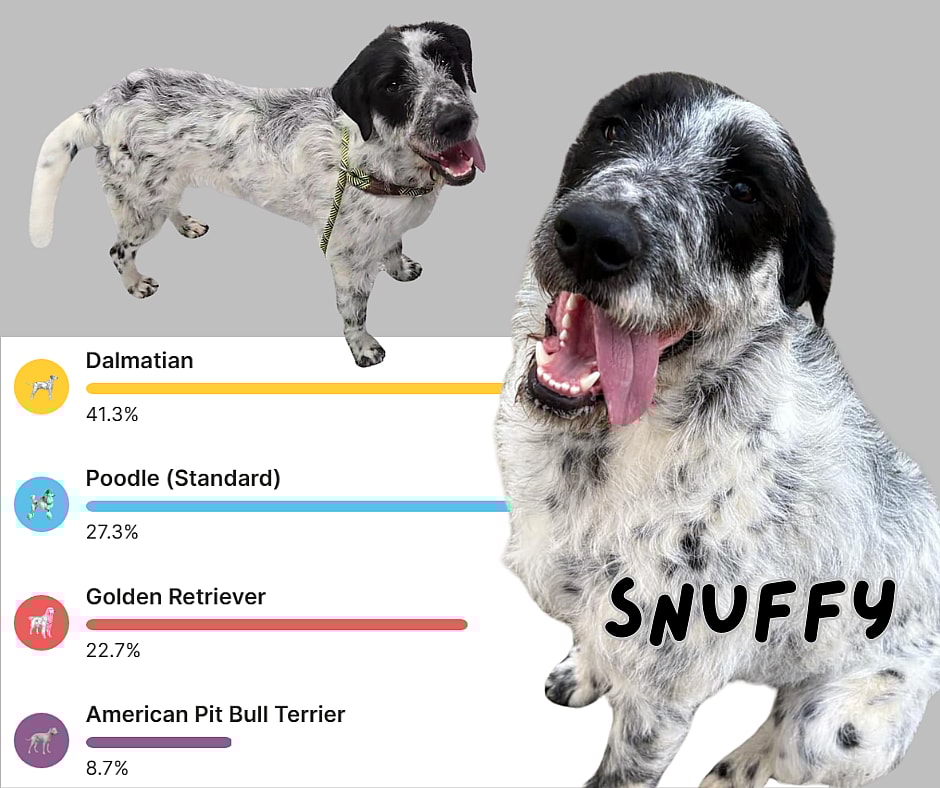 Snuffy