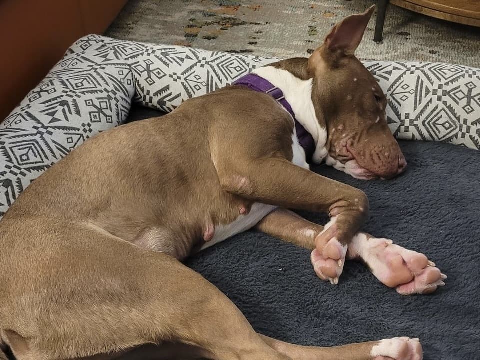 Zoey