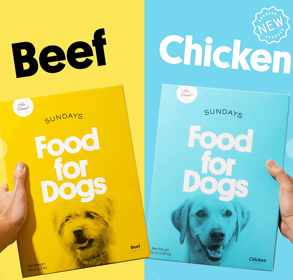 Best Soft Dog Food for Senior Dogs