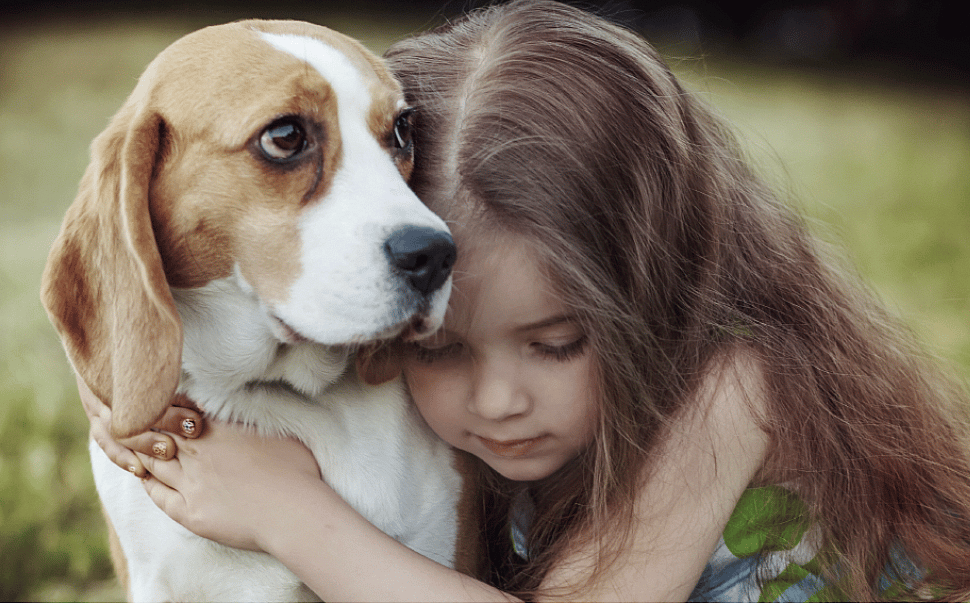 do dogs like hugs