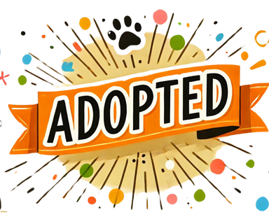 pet adopted