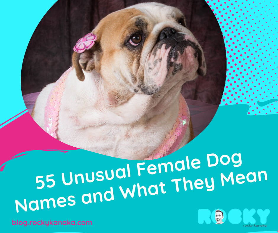 Unusual Female Dog Names